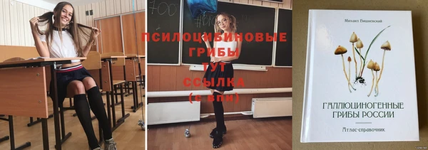 2c-b Майский